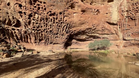 Kennedy Range: Honeycombe Gorge