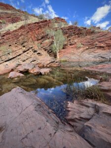 Hamersley Gorge