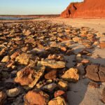 James Price Point James Price Point
