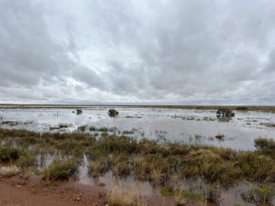Tanami Road: Rabbit Flat unter Wasser