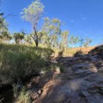 Mt. Hart Station: Annie Creek Mt. Hart Station: Annie Creek