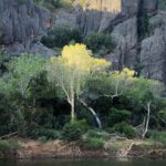 Windjana Gorge Windjana Gorge