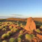 Old Halls Creek: Goldprospecting Teil 1 Old Halls Creek: Goldprospecting Teil 1