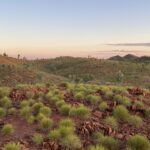 Old Halls Creek: Goldprospecting Teil 1 Old Halls Creek: Goldprospecting Teil 1