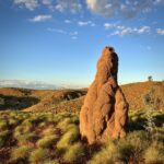 Old Halls Creek: Goldprospecting Teil 1 Old Halls Creek: Goldprospecting Teil 1