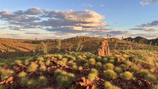 Old Halls Creek: Goldprospecting Teil 1
