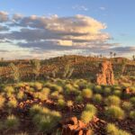 Old Halls Creek: Goldprospecting Teil 1 Old Halls Creek: Goldprospecting Teil 1