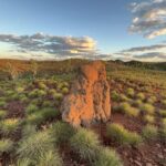 Old Halls Creek: Goldprospecting Teil 1 Old Halls Creek: Goldprospecting Teil 1