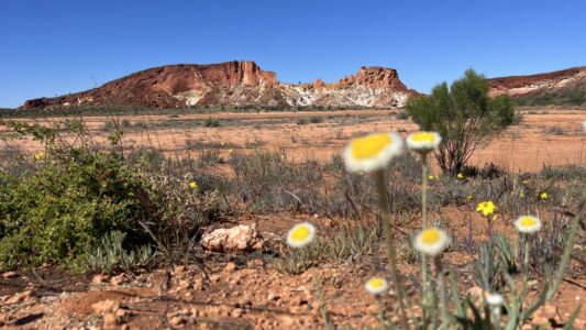 Rainbow Valley Conservation Reserve