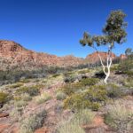 Trephina Gorge Trephina Gorge