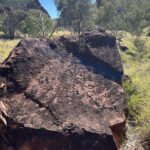 N'Dhala Gorge Nature Park N'Dhala Gorge Nature Park