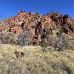 N'Dhala Gorge Nature Park N'Dhala Gorge Nature Park