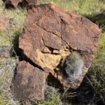 N'Dhala Gorge Nature Park N'Dhala Gorge Nature Park