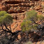 Kings Canyon Kings Canyon