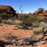 Kings Canyon Kings Canyon