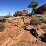 Kings Canyon Kings Canyon