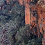 Kings Canyon Kings Canyon
