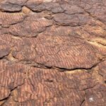 Kings Canyon Kings Canyon
