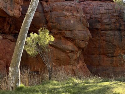 Durba Springs ... Indianer-Gesicht