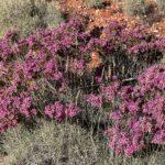 Die Farben der Wüste