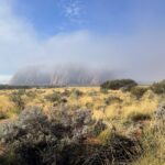Ayers Rock im morgigen Nebel Ayers Rock im morgigen Nebel