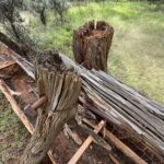 Canning Stock Route: Well 1 Canning Stock Route: Well 1