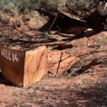 Canning Stock Route: Well 14 Canning Stock Route: Well 14