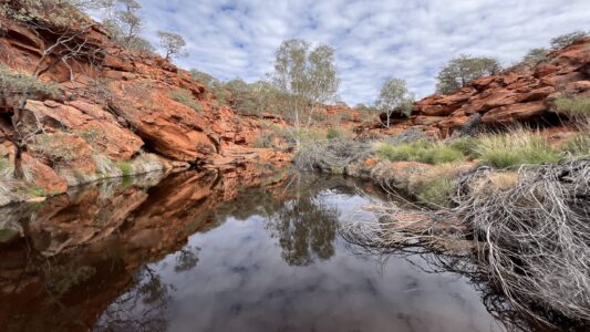 Durba Springs