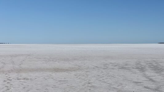 Lake Disappointment