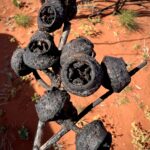 Die Farben der Wüste Die Farben der Wüste