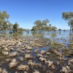 Canning Stock Route: Handhover Campground 7 km südlich von Mulan (Lake Gregory) Canning Stock Route: Handhover Campground 7 km südlich von Mulan (Lake Gregory)
