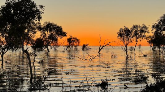 Canning Stock Route: Handhover Campground 7 km südlich von Mulan (Lake Gregory in voller Pracht)