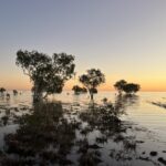 Canning Stock Route: Handhover Campground 7 km südlich von Mulan (Lake Gregory in voller Pracht) Canning Stock Route: Handhover Campground 7 km südlich von Mulan (Lake Gregory in voller Pracht)