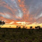Halls Creek Goldfields: Ruby Plains ... the sky is on fire! Halls Creek Goldfields: Ruby Plains ... the sky is on fire!