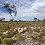 Halls Creek Goldfields: Ruby Plains ... "rostige" Quarzadern ... von hier kommt das Gold ... vielleicht! Halls Creek Goldfields: Ruby Plains ... "rostige" Quarzadern ... von hier kommt das Gold ... vielleicht!