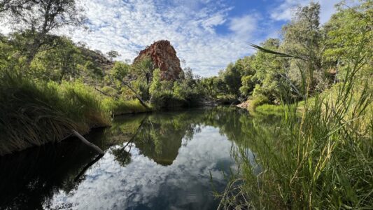 Halls Creek: Palm Springs Gorge