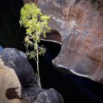 Cobbold Gorge Cobbold Gorge