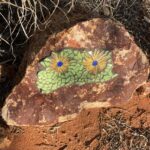 Windorah: Kunst im Freien Windorah: Kunst im Freien