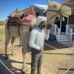 Tibooburra: Afganischer Kameltreiber aus Maschendraht Tibooburra: Afganischer Kameltreiber aus Maschendraht