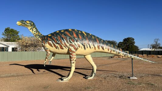 Hughenden: Replica eines Muttaburrasaurus langdoni