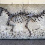 Hughenden: ... Dino-Art