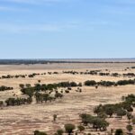 Bladensburg National Park: Scrammy Lookout Bladensburg National Park: Scrammy Lookout