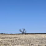 Welford NP Welford NP