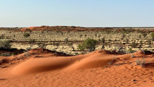 Die roten Sanddünen Windorahs