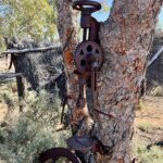 Tibooburra: Death Horse Gully Tibooburra: Death Horse Gully