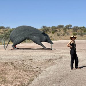 Sturt NP: Drahtskulptur eines Western-Barred Bandicoots