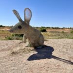 Sturt NP: Drahtskulptur eines Greater Bilbys Sturt NP: Drahtskulptur eines Greater Bilbys