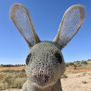 Sturt NP: Drahtskulptur eines Greater Bilbys