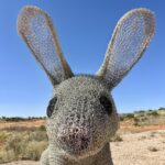 Sturt NP: Drahtskulptur eines Greater Bilbys Sturt NP: Drahtskulptur eines Greater Bilbys