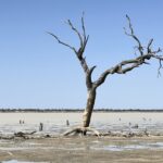 Sturt NP: Lake Pinaroo Sturt NP: Lake Pinaroo